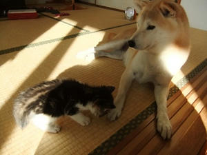DSCF4597.JPG