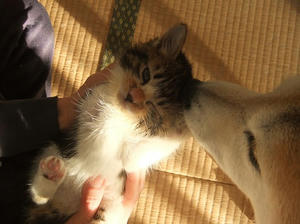 DSCF4680.JPG