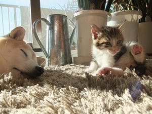 DSCF4568.JPG