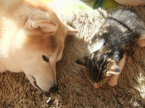 DSCF4578.JPG