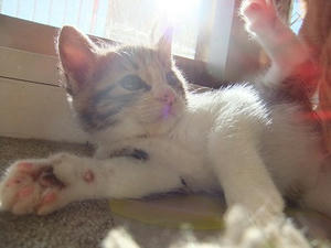DSCF4580.JPG