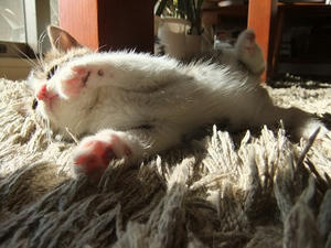 DSCF4498.JPG