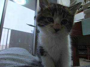 DSCF4624.JPG
