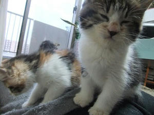 DSCF4628.JPG