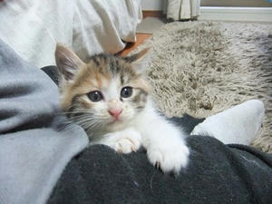 DSCF4619.JPG