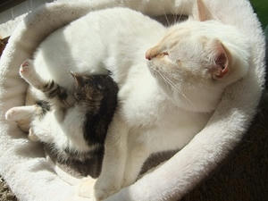 DSCF4545.JPG