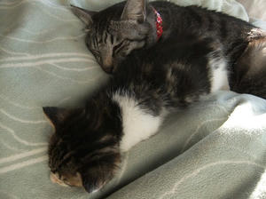 DSCF4665.JPG