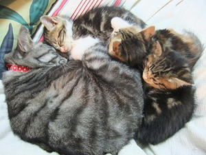DSCF4688.JPG