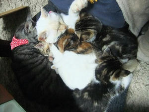 DSCF4732.JPG