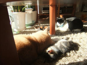 DSCF4750.JPG