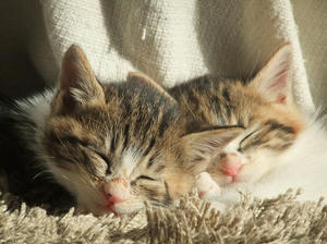 DSCF4682.JPG