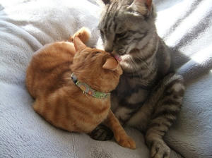 DSCF4743.JPG