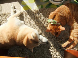 DSCF4803.JPG