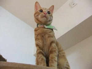 DSCF4806.JPG