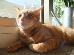 DSCF4724.JPG