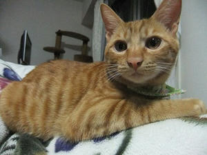 DSCF4796.JPG