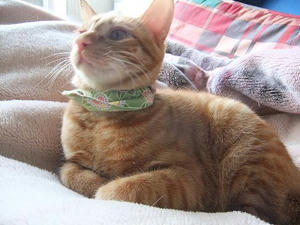 DSCF4802.JPG