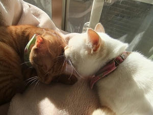 DSCF4826.JPG