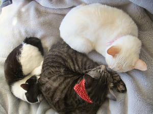 DSCF4809.JPG