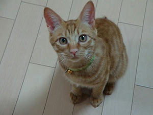 DSC02307.JPG