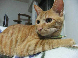 DSCF4795.JPG