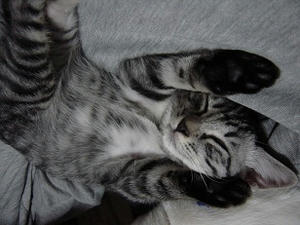 DSC01675.JPG