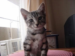 DSC01612.JPG