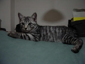 DSC01744.JPG