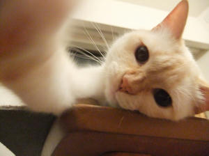 DSCF2621.JPG