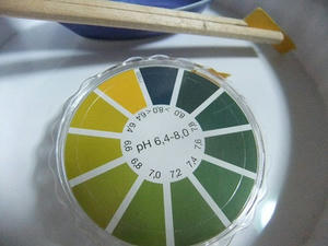DSCF4872.JPG