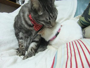 DSCF4472.JPG