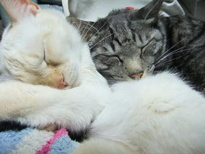 DSCF4490.JPG