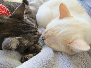 DSCF4808.JPG
