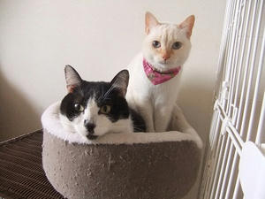 DSCF4361.JPG