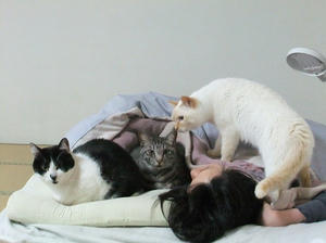 DSCF2178.JPG