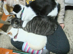 DSCF4867.JPG