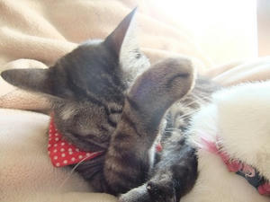 DSCF4879.JPG