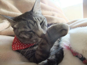 DSCF4880.JPG