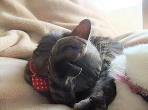 DSCF4881.JPG