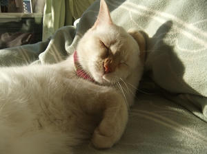 DSCF4362.JPG