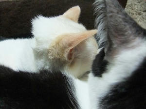 DSCF4904.JPG