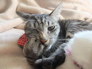 DSCF4884.JPG