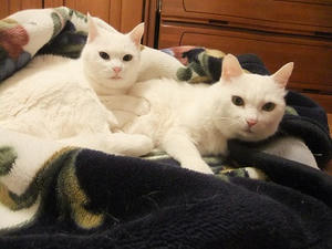 DSCF4967.JPG