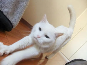 DSCF4954.JPG
