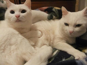 DSCF4968.JPG