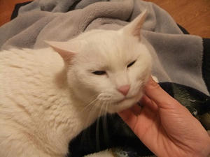 DSCF4970.JPG