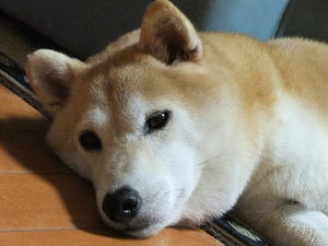 DSCF0026.JPG