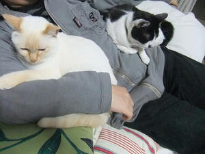 DSCF4973.JPG