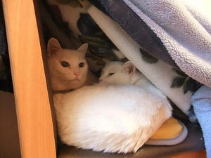 DSCF4983.JPG