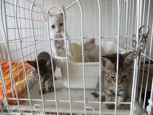 DSCF5089.JPG